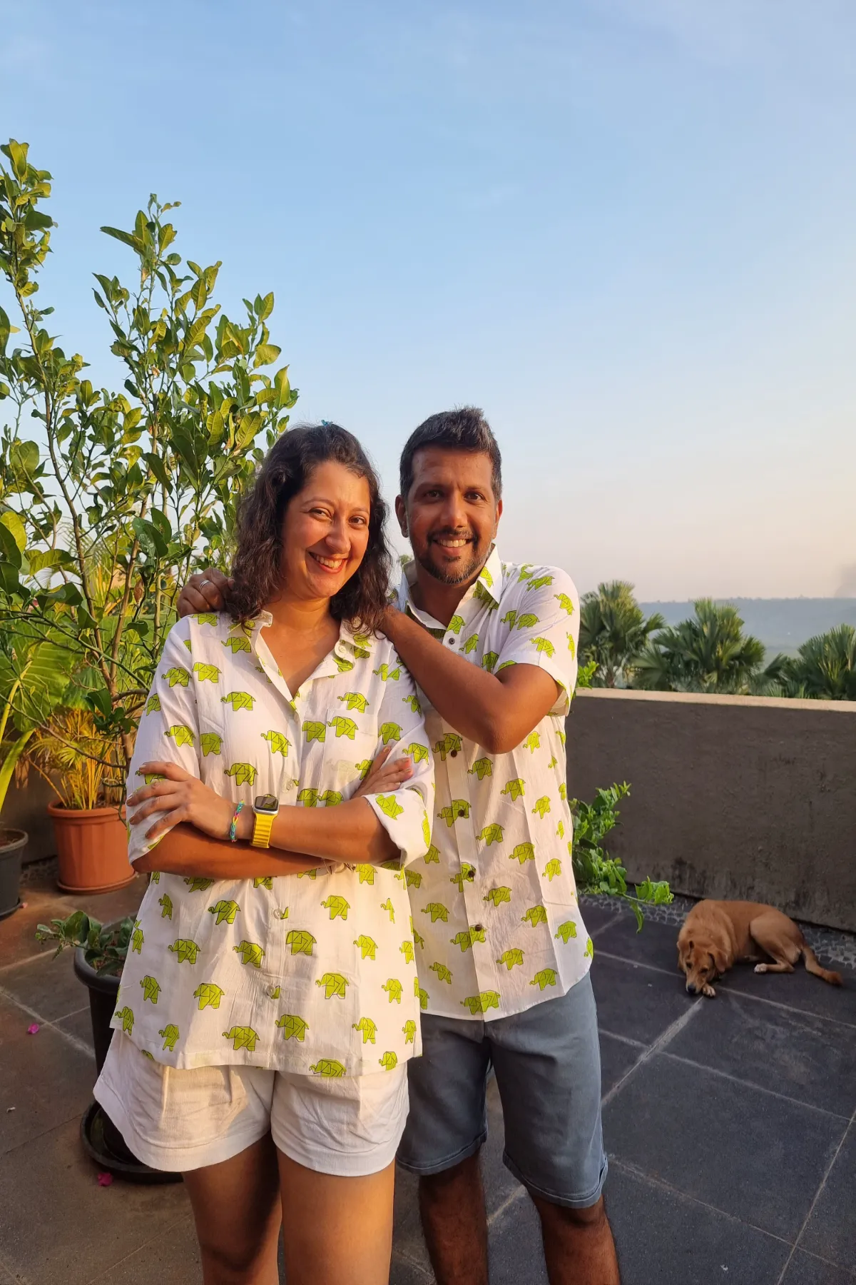 Green Origami Elephant Twinning