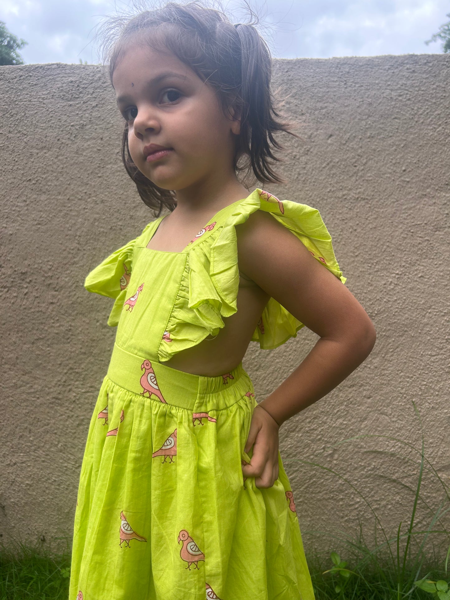 Pink Parrot Ruffle Dress