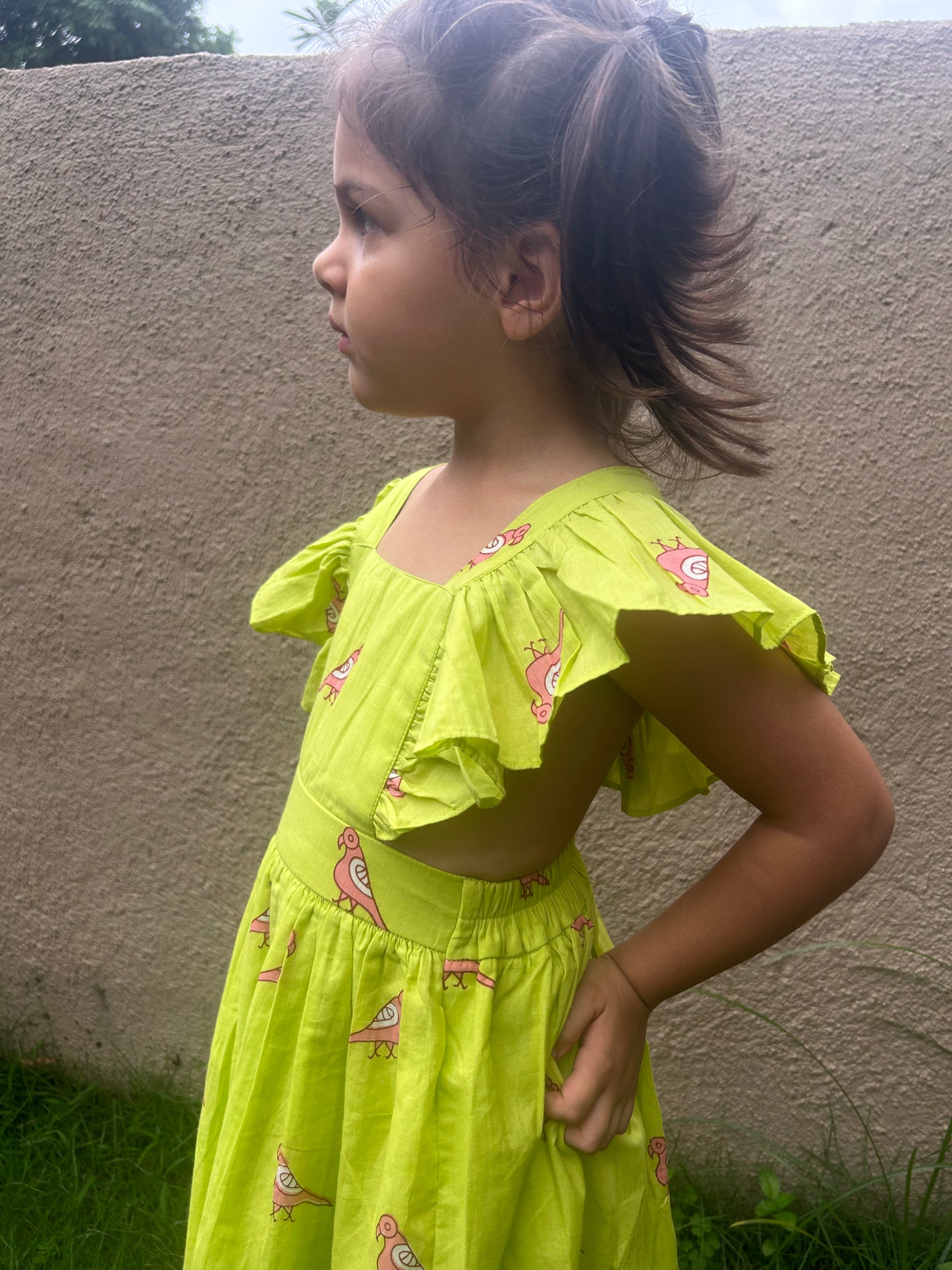 Pink Parrot Ruffle Dress