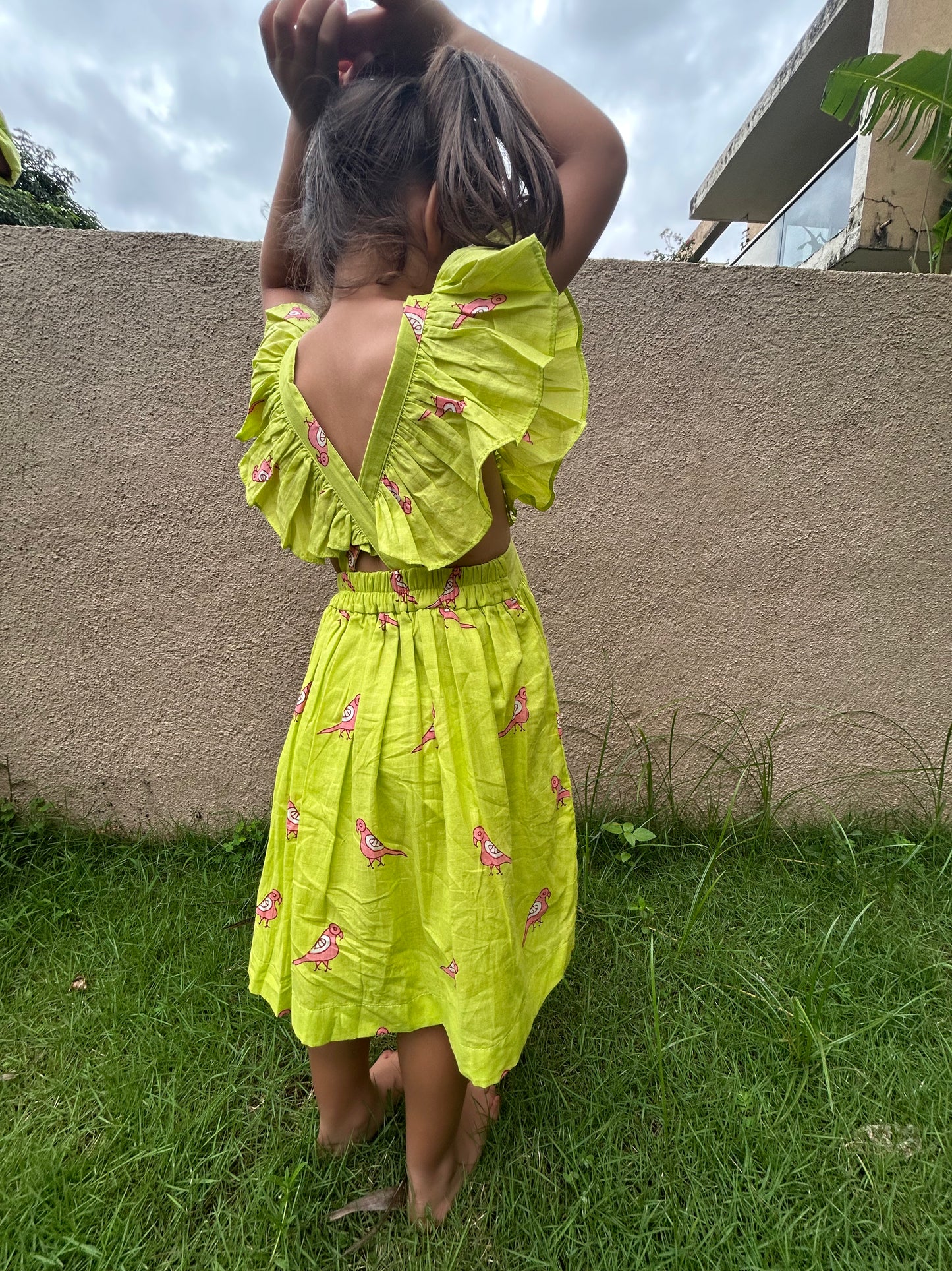 Pink Parrot Ruffle Dress