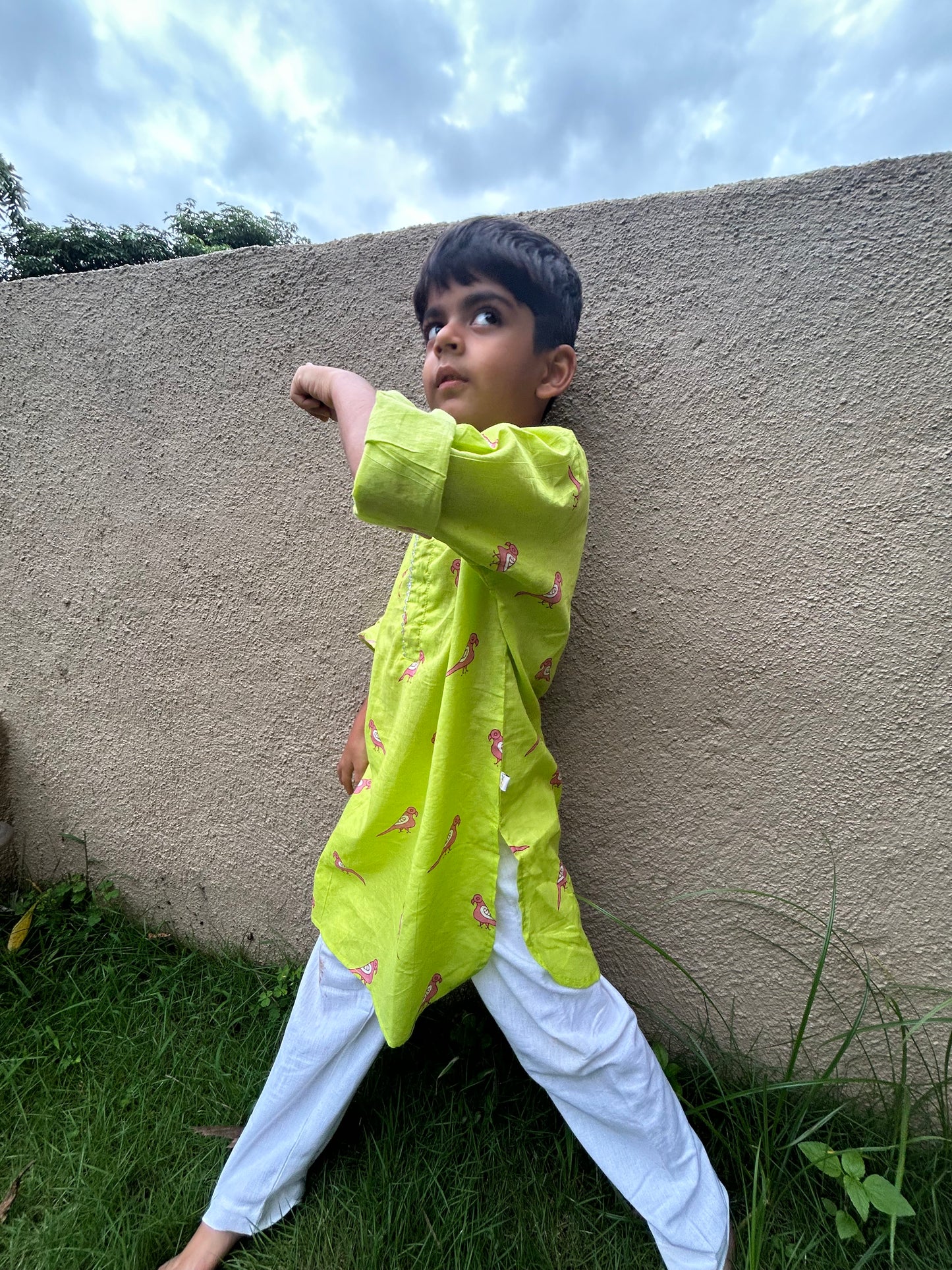Green and Pink Parrot Kurta Pajama set