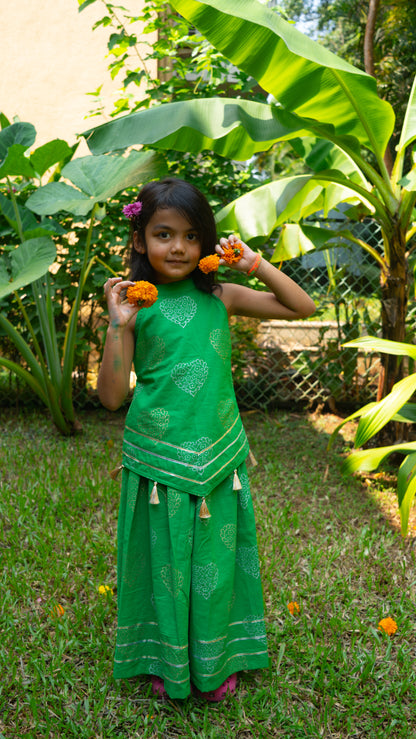 Green Gold & Silver Heart Sharara Co-ord Set