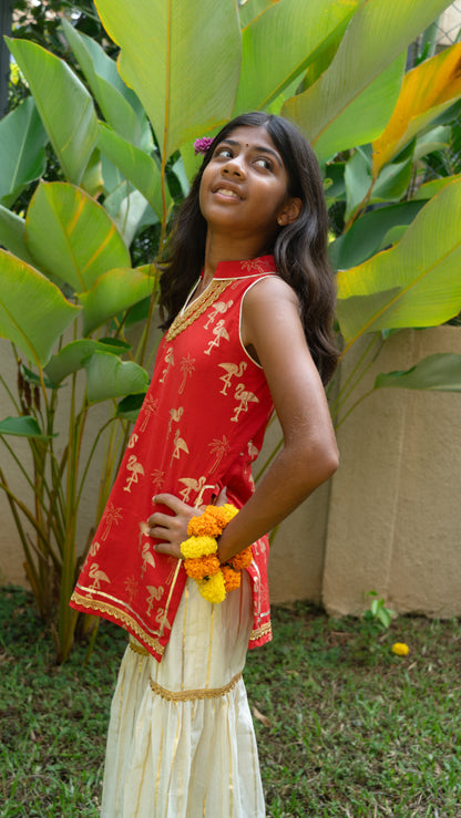 Red & Gold Flamingo Sharara Set