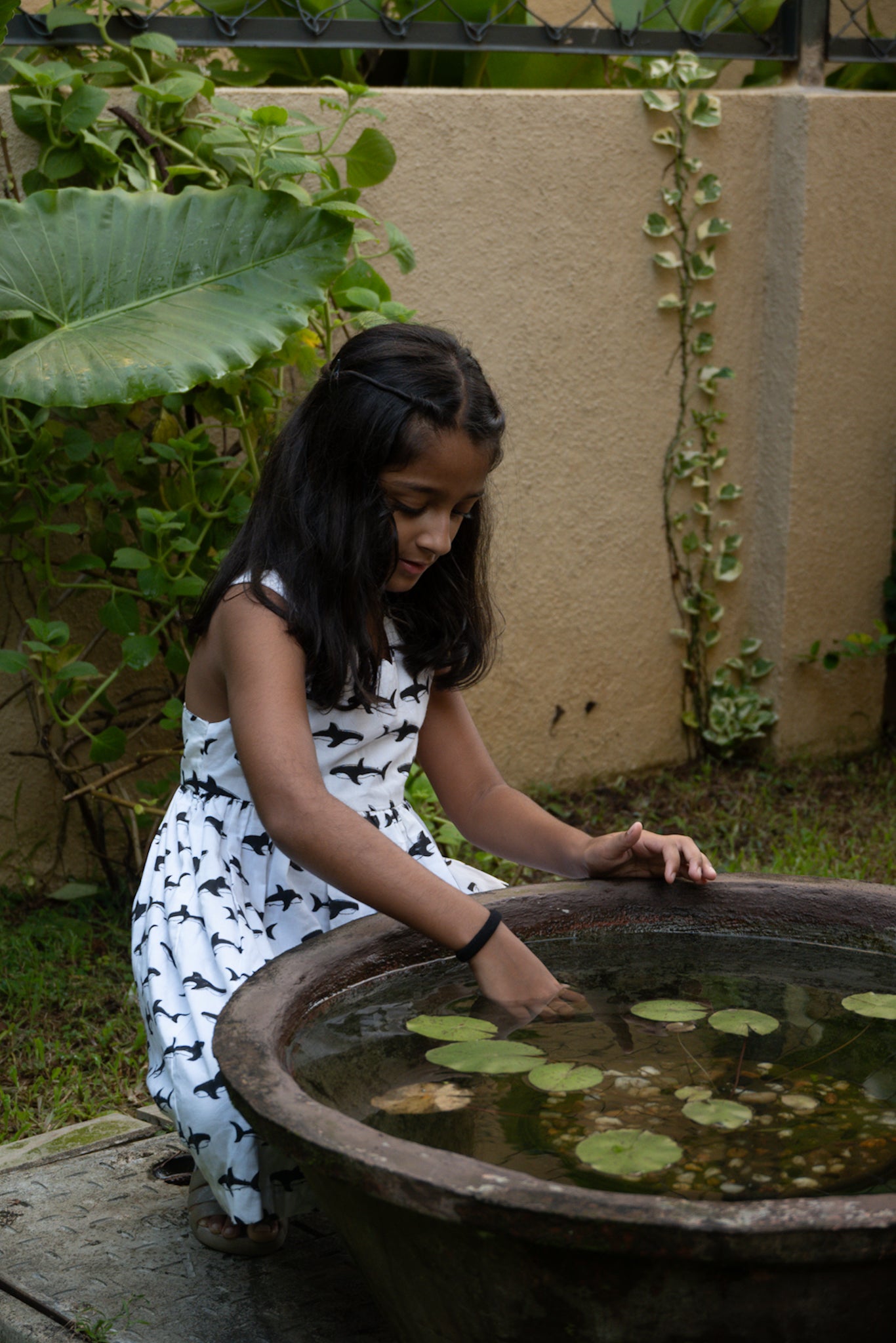 Shark Cross Back Dress