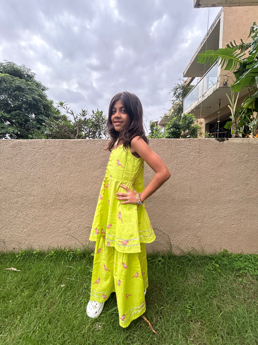 Green & Pink Parrot Sharara Set