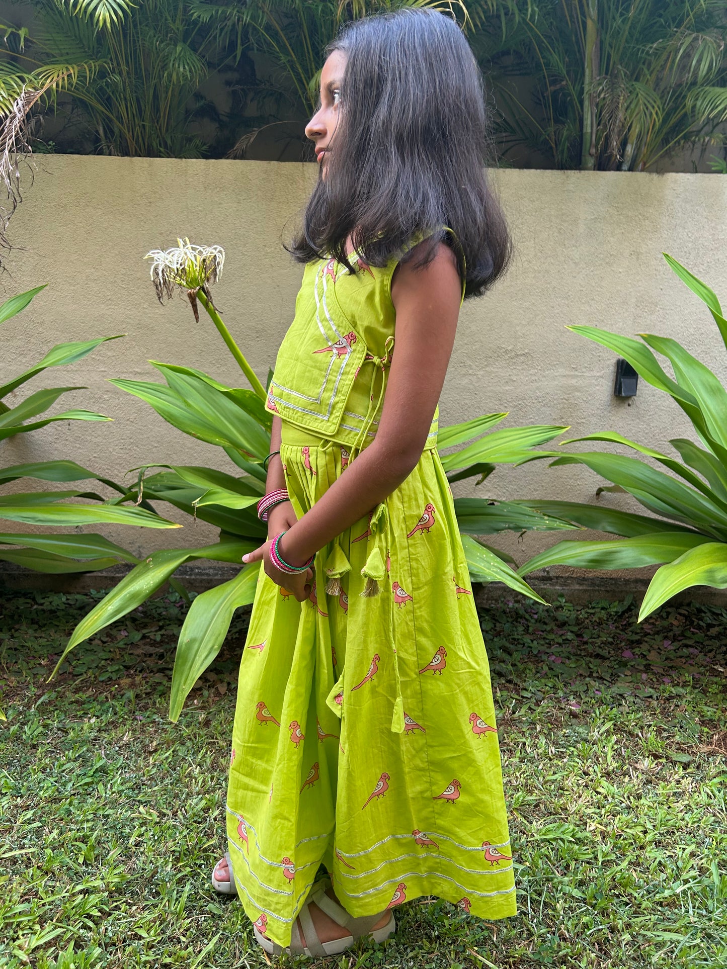 Green & Pink Parrot ghagra choli set