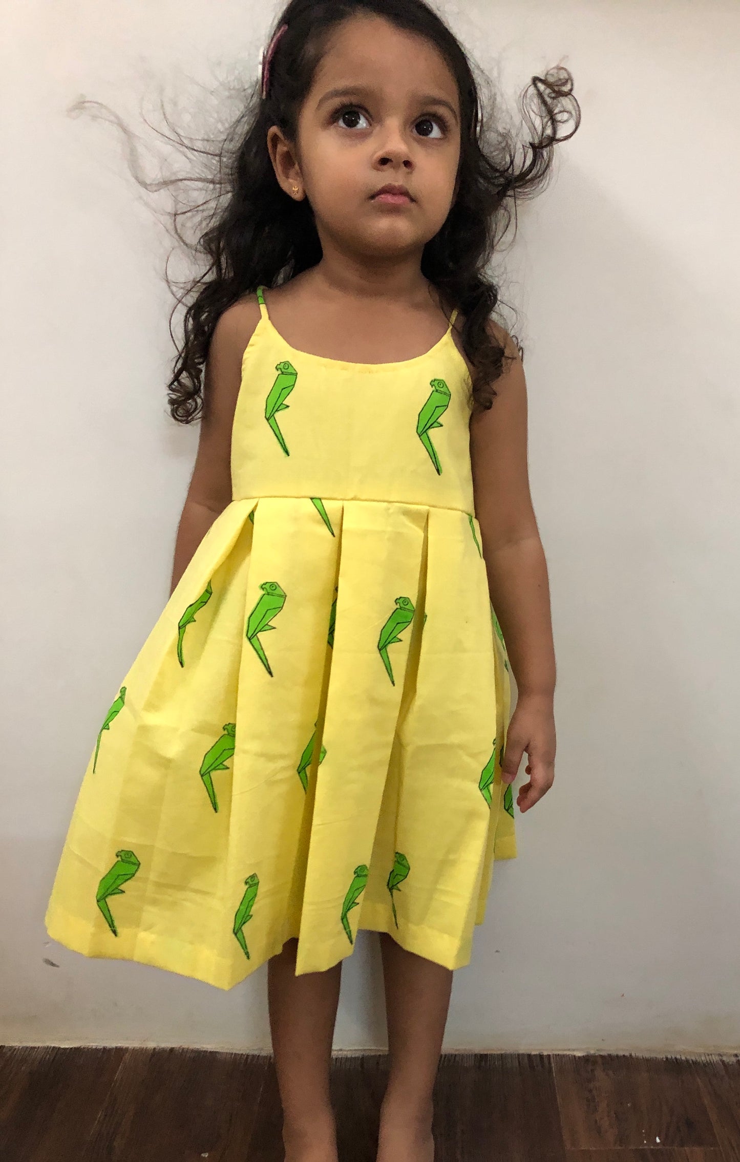 Parrot Box Pleat Dress