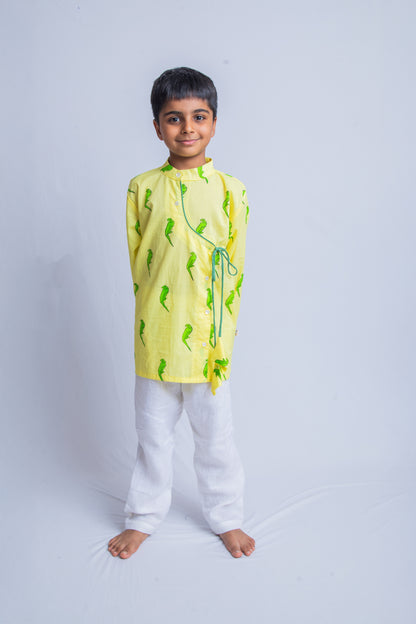 Parrot Kurta Pajama set