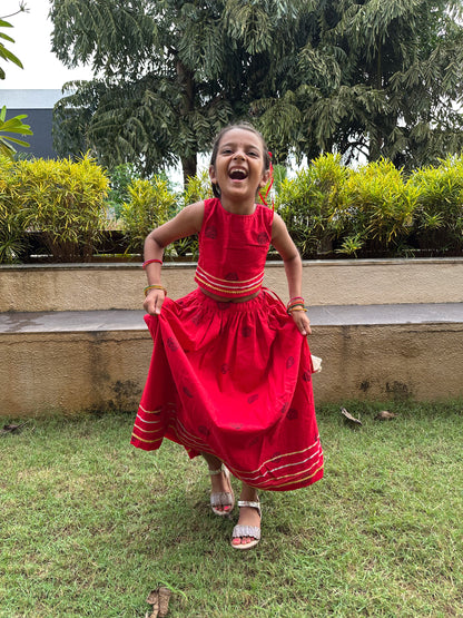 Red with Blue Rose ghagra choli set