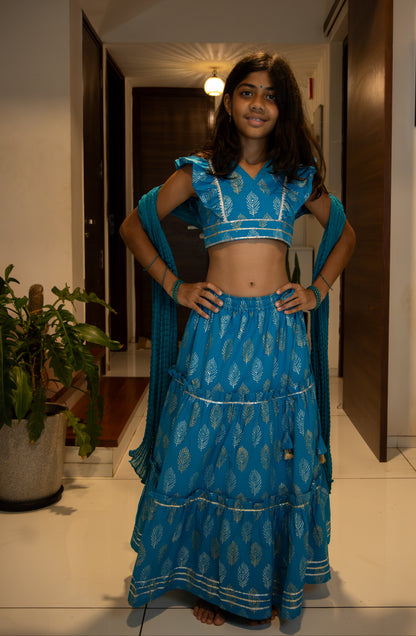 Blue Gold Silver Feathers ghagra choli set