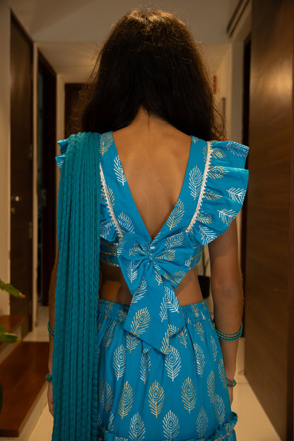 Blue Gold Silver Feathers ghagra choli set