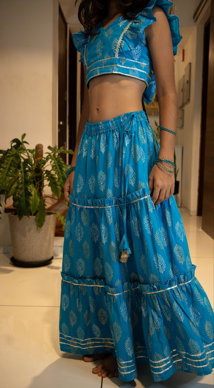 Blue Gold Silver Feathers ghagra choli set
