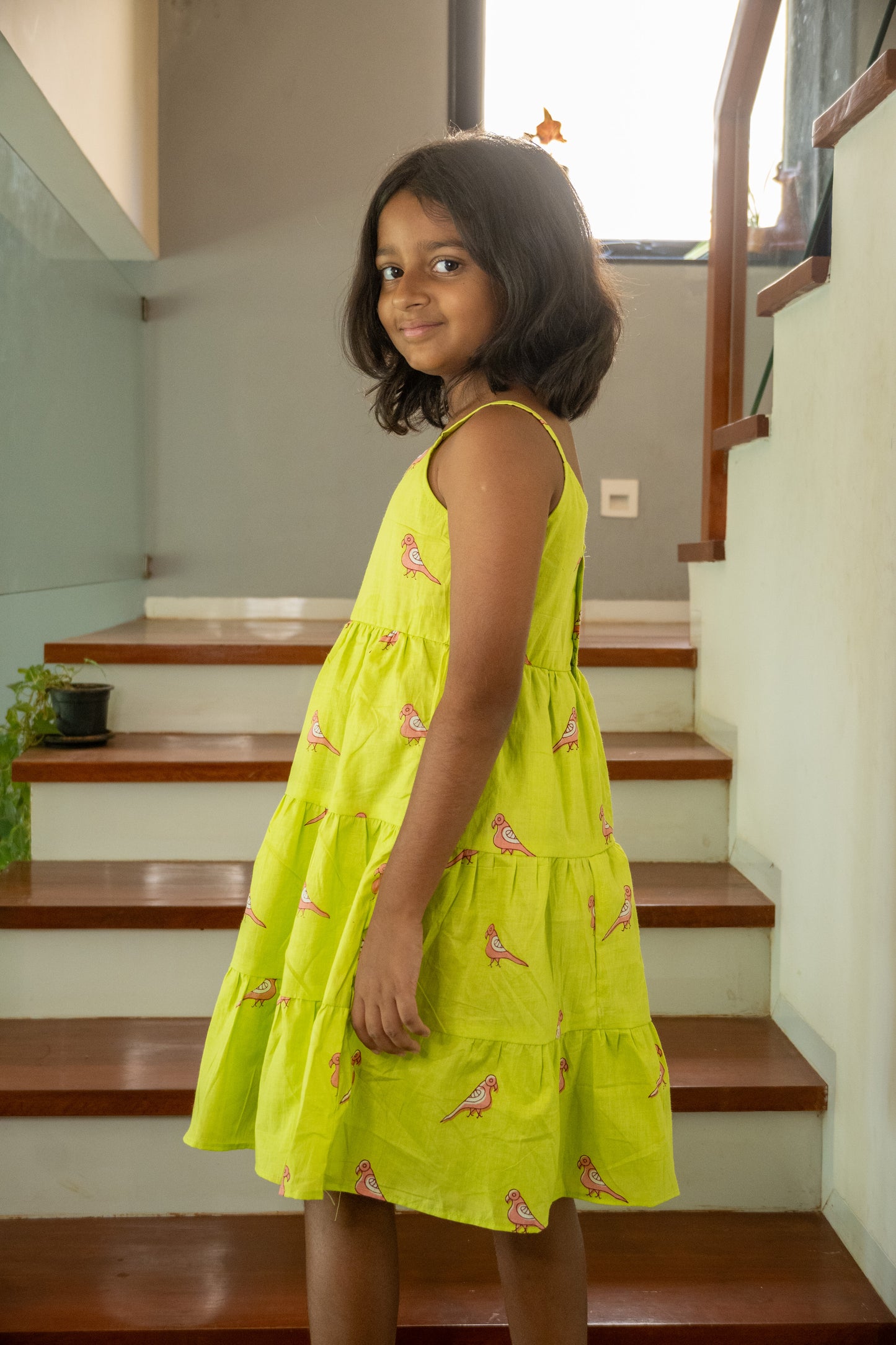 Pink Parrot 3 Tier Dress
