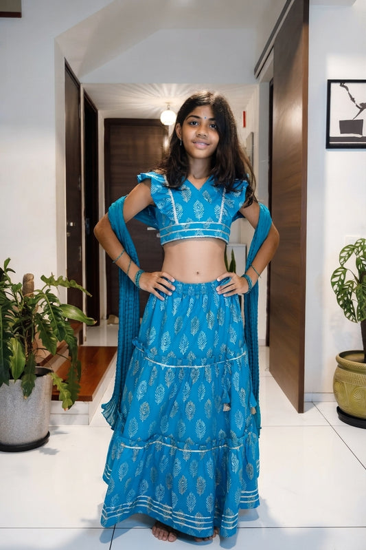 Blue Gold Silver Feathers ghagra choli set